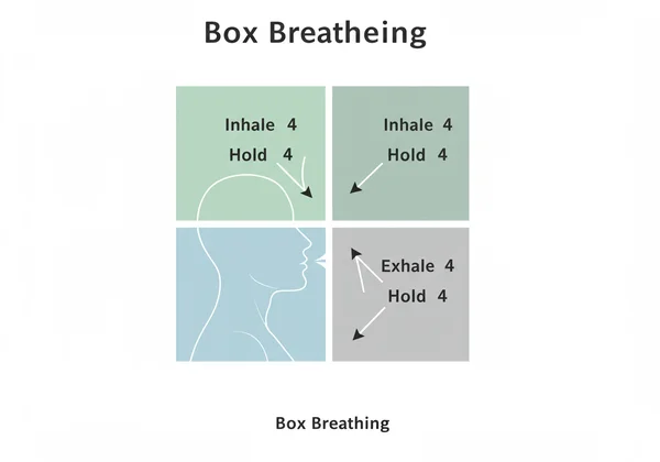 Illustration of box breathing for calm and control
